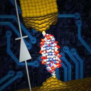 DNA Diode