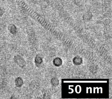 self-assembling nanotubes have the same diameter