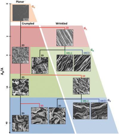 modes of shrinking, graphene