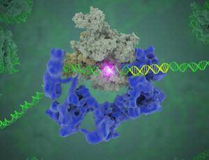 Gene Expression