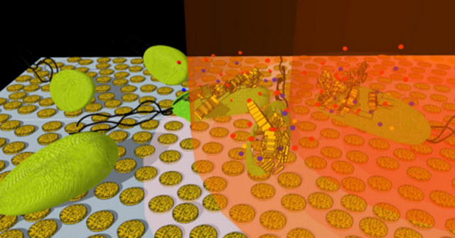 Nanporous Gold Disk Arrays