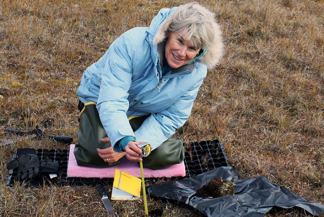 Los Alamos National Laboratory scientist Cathy Wilson