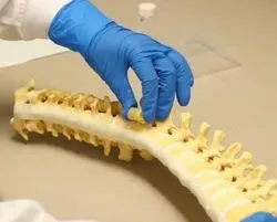 Spine material