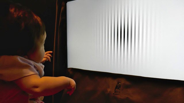 infant motion perception experiment