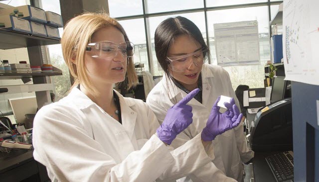 Food scientist Daniela Barile and graduate student Tian Tian