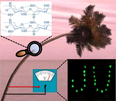 Cellulose nanogenerators could one day power implanted biomedical devices 