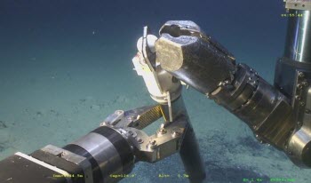 A remotely-operated vehicle collects a sediment core from deep ocean waters