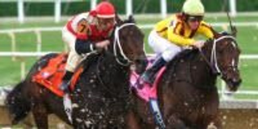 Rooting Out Doping in Racehorses | Lab Manager