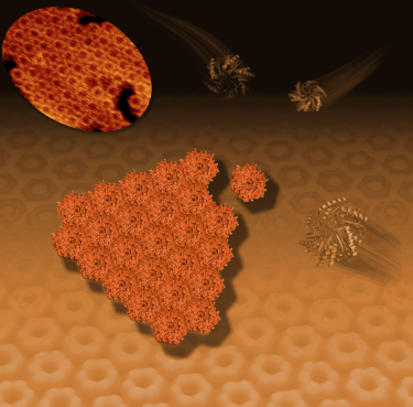 exagonal bacterial proteins 