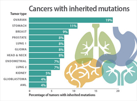 A new study sheds light on the inherited components of 12 cancer types