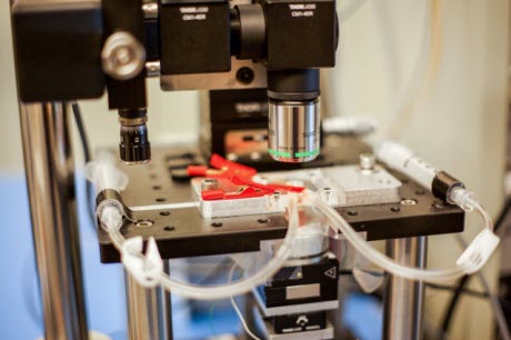 A new high-speed microscope produces images of chemical processes taking place at the nanoscale