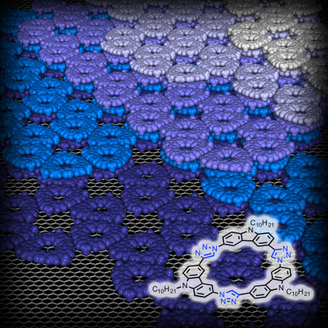 The ring-shaped macromolecule tricarbazolo triazolophane, or 