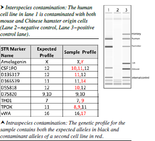 Interspecies Contamination