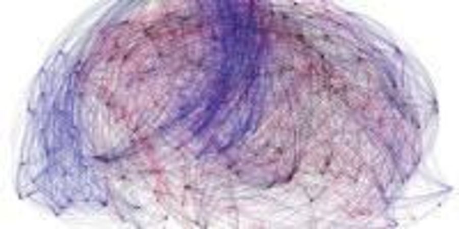 Berkeley Researchers Shed New Light on Brain Function and Complex ...