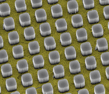 Silicon nanopillars funnel light through a gold metal contact to a sheet of silicon underneath