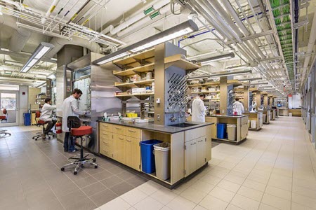 Researchers in the LEED Gold-certified Nocera Lab