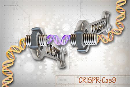 CRISPR-Cas9