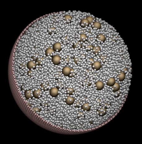 cellular simulation