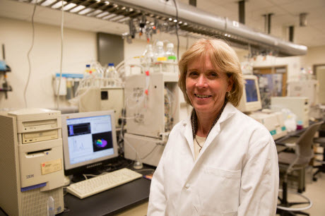 Cynthia Burrows, distinguished professor and chair of chemistry at the University of Utah