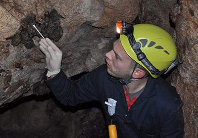 Bat researcher Joseph Hoyt