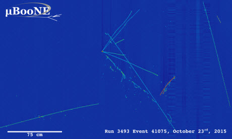 First Neutrino Sightings by MicroBooNE