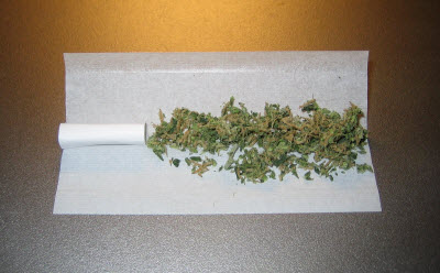 New UW School of Law group to study marijuana regulation for state of Washington