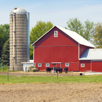 UF researchers learn how to keep pathogens, pests from traveling with grain