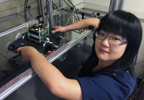 A Light Touch May Help Animals and Robots Move on Sand and Snow