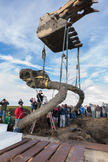 Washtenaw County mammoth find hints at role of early humans