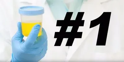 How Pee Brought You the Modern World