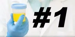 How Pee Brought You the Modern World