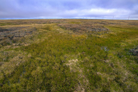 NEWS CENTER A Simpler Way to Estimate the Feedback Between Permafrost Carbon and Climate