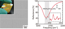 Okayama University research: Metamaterial absorbers for infrared inspection technologies