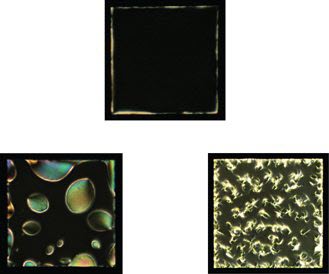 Liquid crystals show potential for detection of neuro-degenerative disease - See more at: http://news.uchicago.edu/article/2015/09/23/liquid-crystals-show-potential-detection-neuro-degenerative-disease#sthash.B400e7JW.dpuf