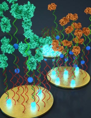 Molecular Diagnostics at Home: Chemists Design Rapid, Simple, Inexpensive Tests Using DNA