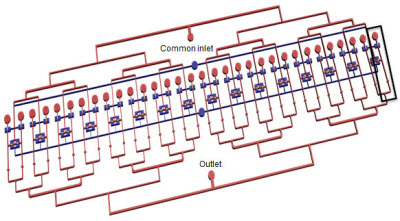 A schematic drawing of the Rutgers lab-on-a-chip