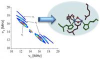 Application of New Spectroscopy Method To Capture Reactions in Photosynthesis - See more at: http://news.rpi.edu/content/2015/09/14/new-spectroscopy-method-meant-capture-reactions-photosynthesis#sthash.E4jjRP3k.dpuf