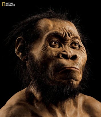 New species of human relative discovered