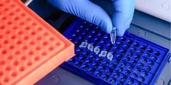 PCR and qPCR Resource Guide