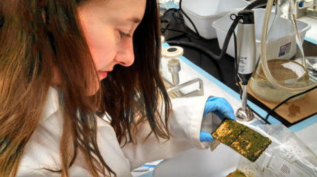 gathering samples for the atrazine study