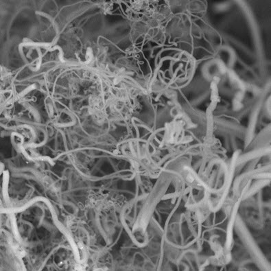 carbon nanofibers