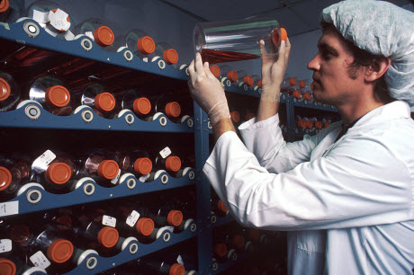 cell culture vials