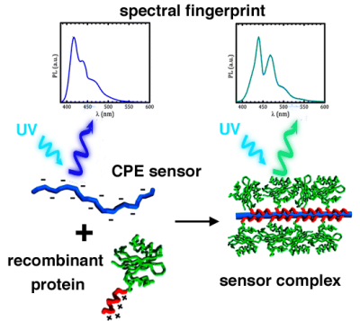 spectral fingerprint