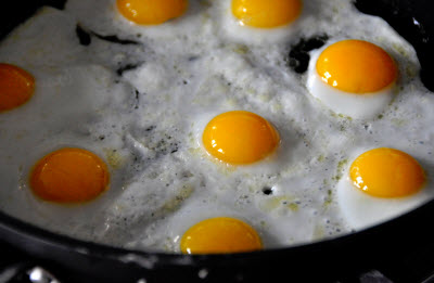 fried eggs