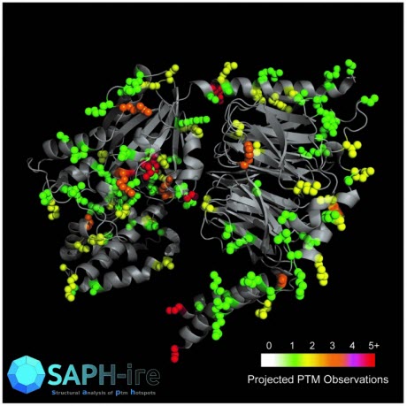 SAPH-ire graphic