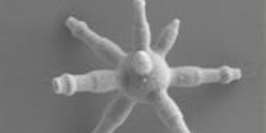 Silica ‘Spiky Screws’ Could Enhance Industrial Coatings, Additive ...