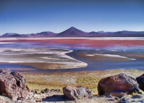 Laguna Colorada