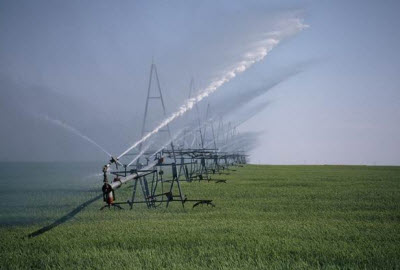 agricultural land