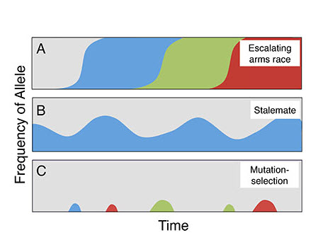 OSTROWSKI ET AL.