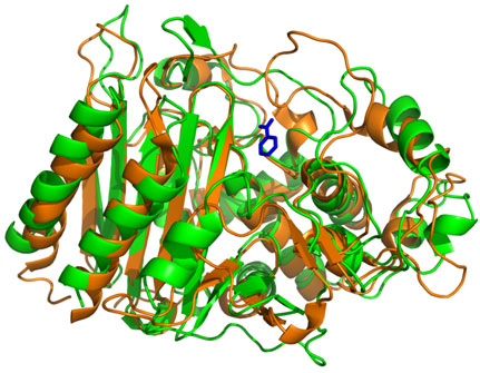 E.coli beta-lactamase enzyme structure